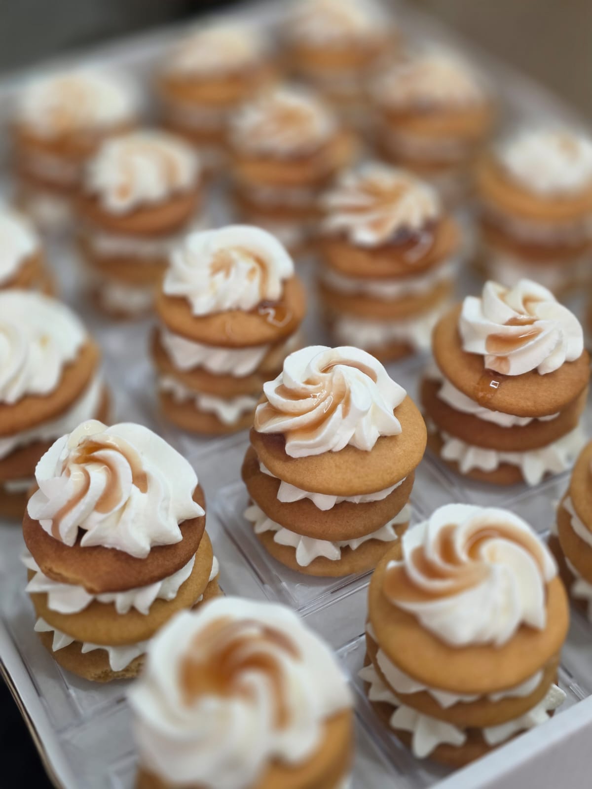 ورشة كعكة العسل