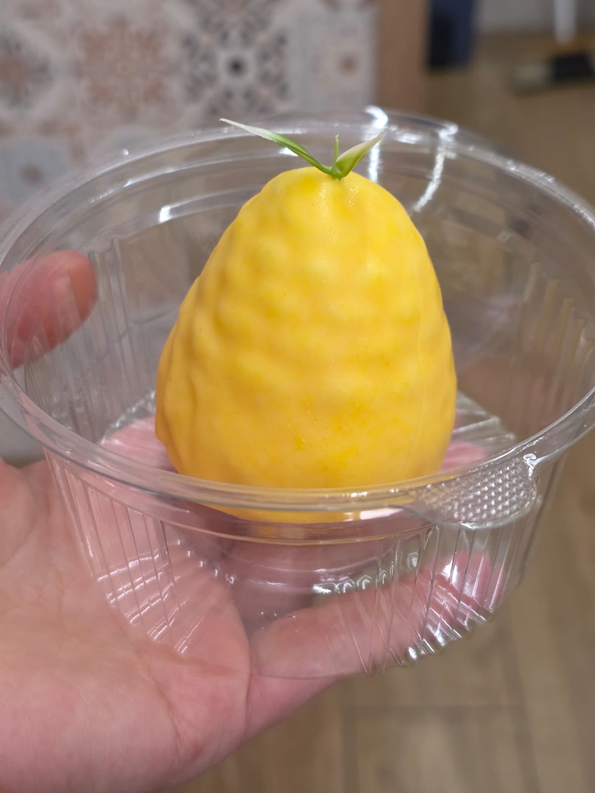 ورشة موس الفواكه🍓🍋