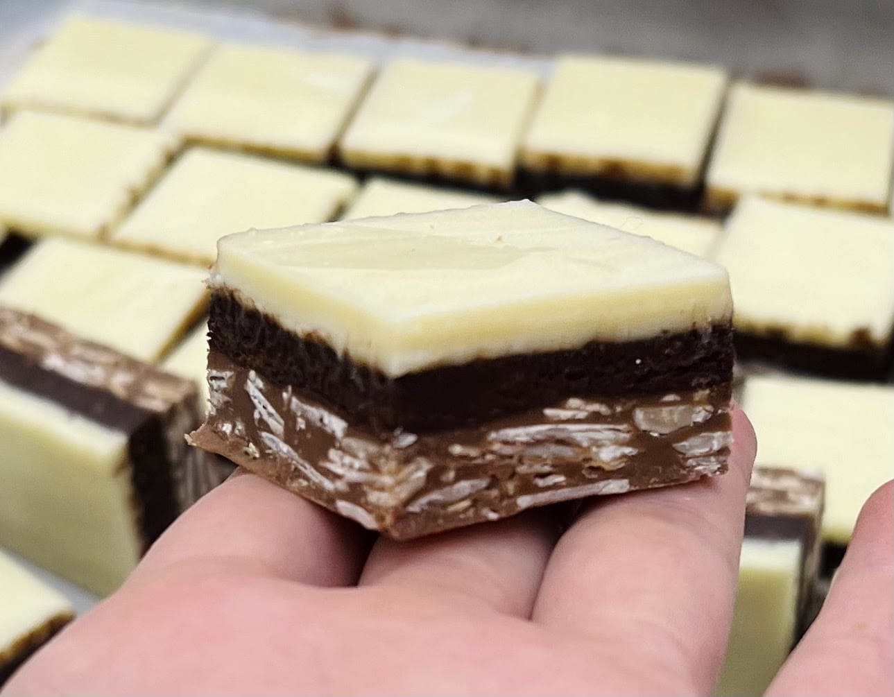 ورشة بتيفور بلجيكي