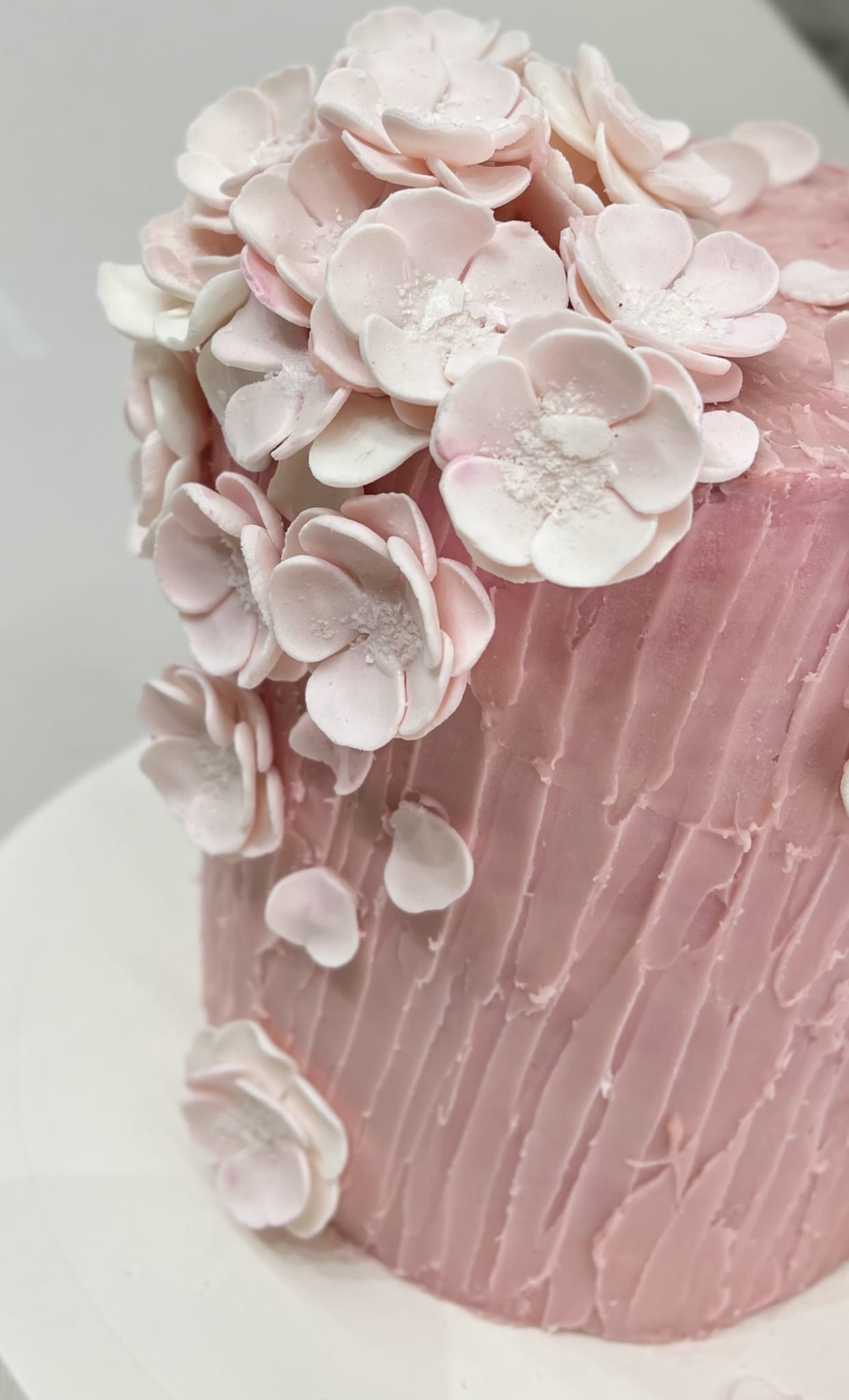 ورشة التصاميم 4