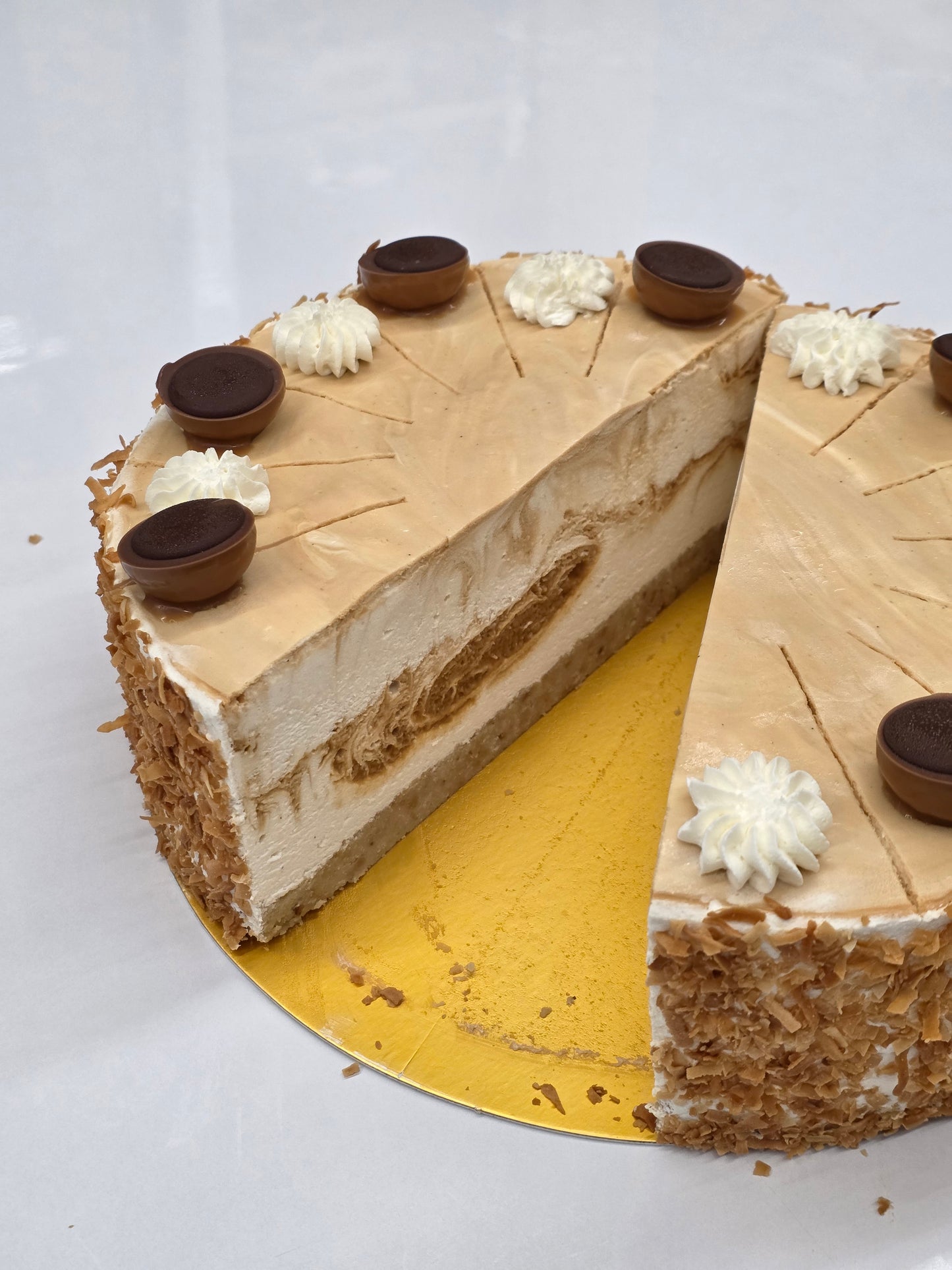 موس ريبات حلاف